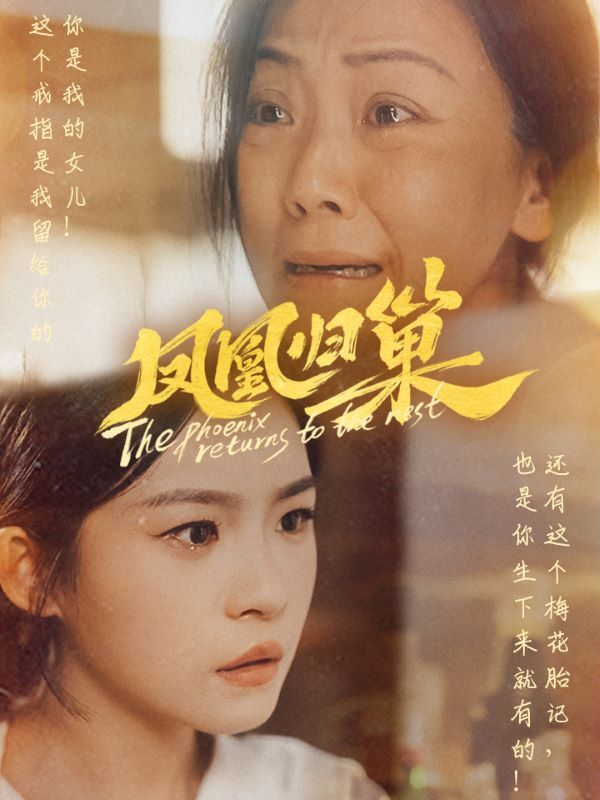 凤凰归巢 - 第69集完结_剧情梗概_星宇影戏-影视解说